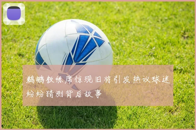 鹈鹕教练席惊现旧将引发热议球迷纷纷猜测背后故事