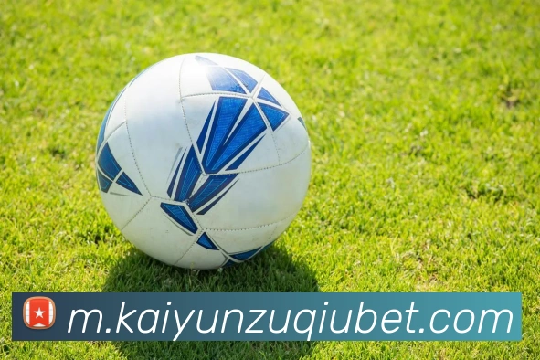 开云体育平台生态图